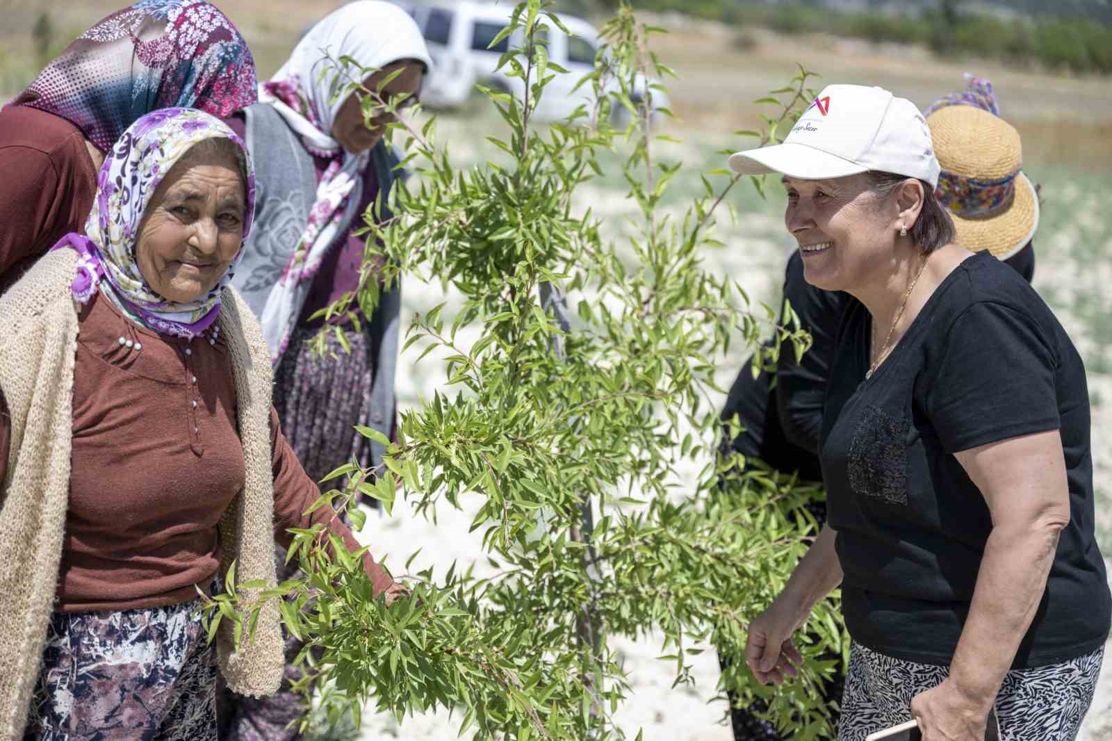 MERSİN BÜYÜKŞEHİR BELEDİYESİ, TARIMSAL HİZMETLER DAİRESİ BAŞKANLIĞI BÜNYESİNDE KIRSAL BÖLGELERE