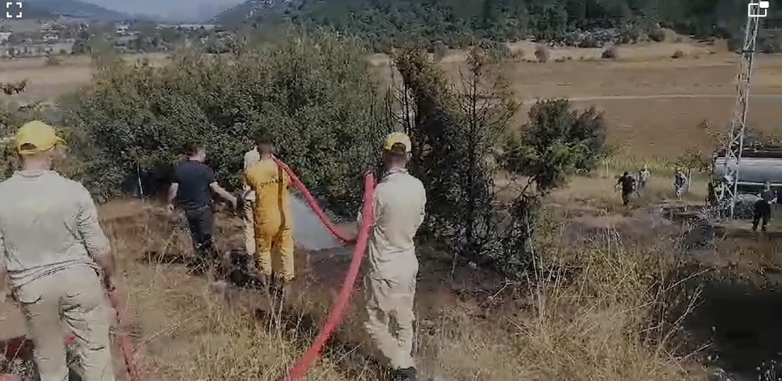 Andırın İlçesi, Yeniköy Mahallesi’nde elektrik tellerine çarparak akıma kapılan kuş