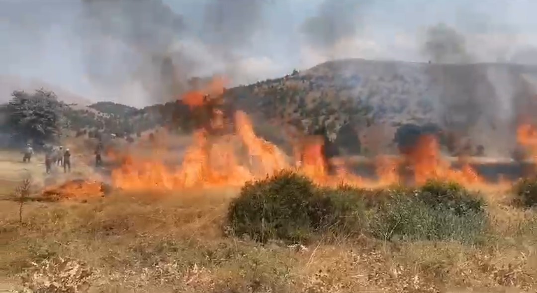 ADANA’NIN TUFANBEYLİ İLÇESİNDE BİR ÇİFTÇİNİN 8 DÖNÜME EKİLEN BUĞDAYI HASAT