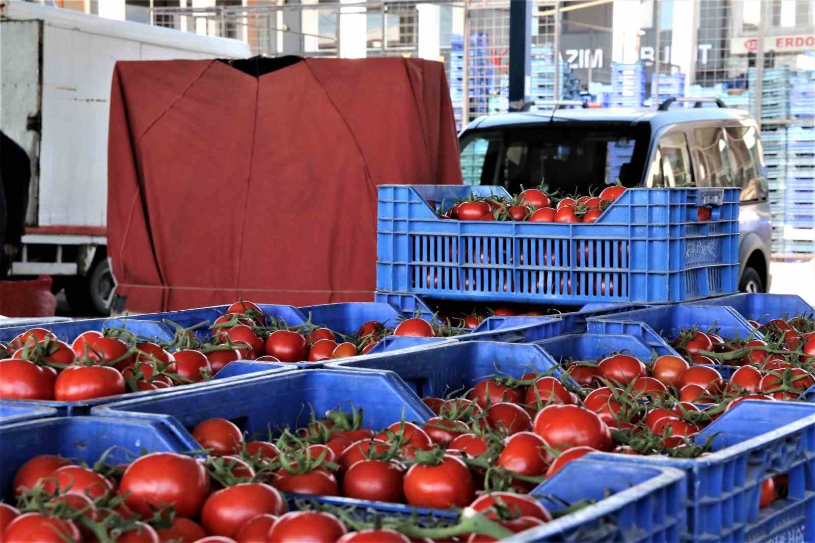 DOMATES MİKTAR ENDEKSİ YILLIK YÜZDE 31.35 AZALIRKEN, FİYAT ENDEKSİ YÜZDE