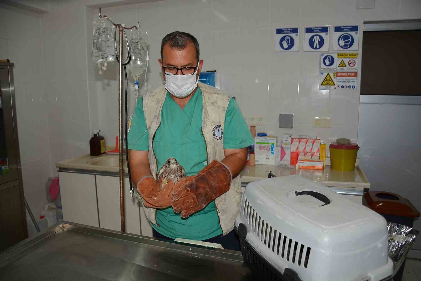 MERSİN BÜYÜKŞEHİR BELEDİYESİ TARIMSAL HİZMETLER DAİRESİ’NE BAĞLI TARSUS DOĞA PARKI,