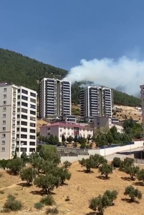 KAHRAMANMARAŞ’IN ONİKİŞUBAT İLÇESİNDE YERLEŞİM YERLERİNE YAKIN ORMANLIK ALANDA YANGIN ÇIKTI.