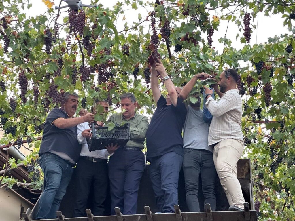 tarihi asmali sokakta kepce ustunde uzum hasadi yapildi eddfc68