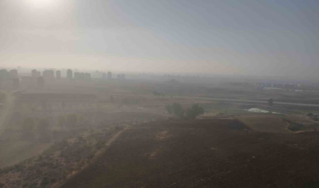 Adana güne sisle uyandı ADANA’DA SABAH SAATLERİNDE SİS ETKİLİ OLDU.