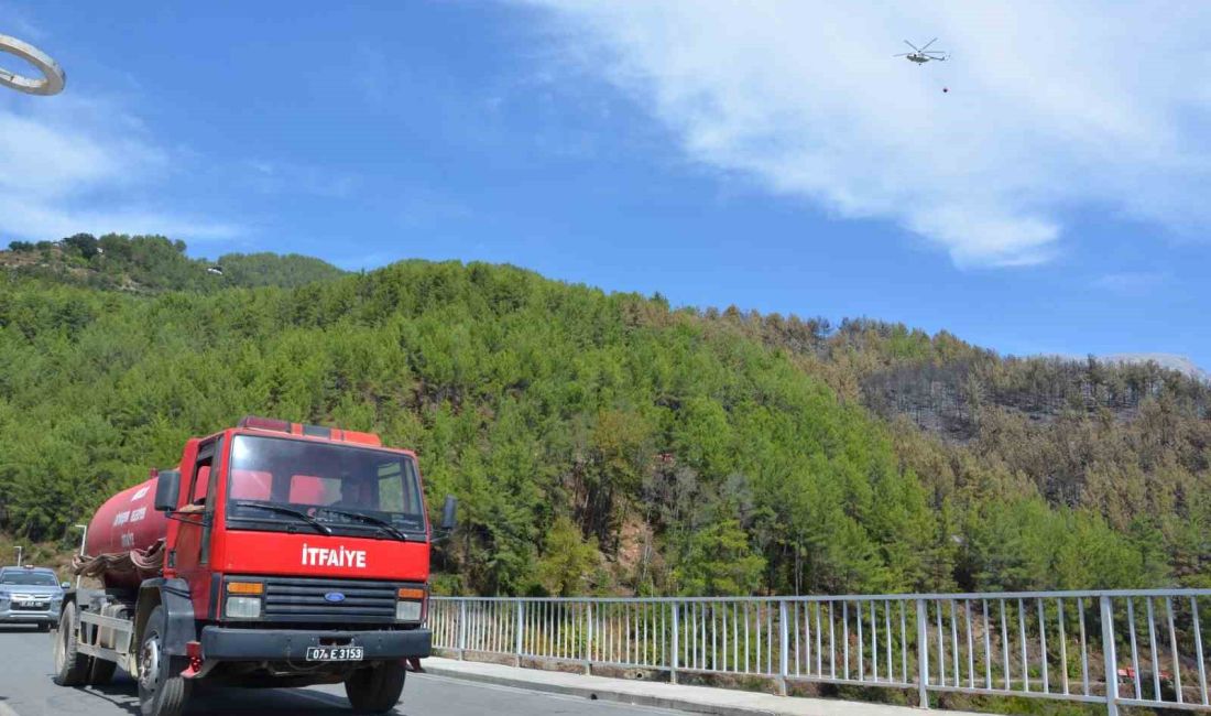 ALANYA İLÇESİ UZUNÖZ MAHALLESİ DİM BARAJI YAKININDAKİ ORMANLIK ALANDA ÇIKAN