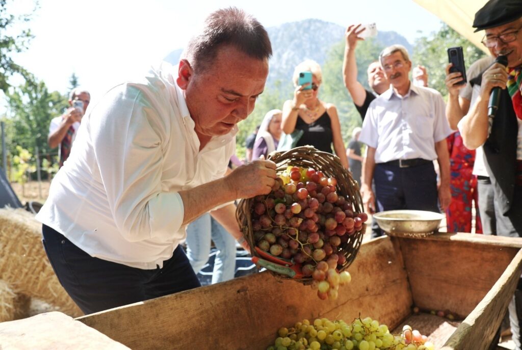 Antalya Gastronomi Festivali’nin ikinci gününde mor üzüm hasadı