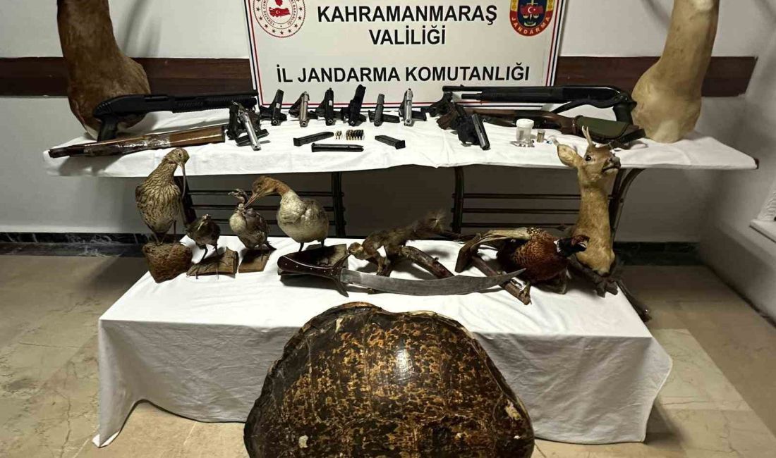 KAHRAMANMARAŞ İL JANDARMA KOMUTANLIĞI EKİPLERİNCE BİR ADRESE DÜZENLENEN OPERASYONDA ÇOK