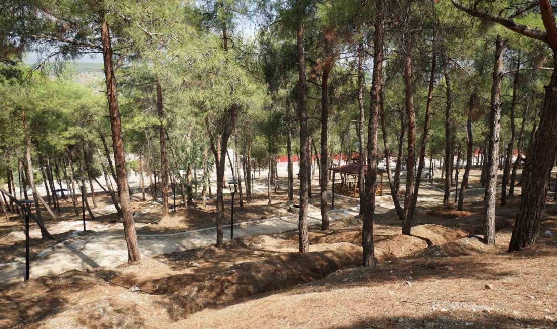 HATAY BÜYÜKŞEHİR BELEDİYESİ PARK BAHÇE VE YEŞİL ALANLAR DAİRE BAŞKANI