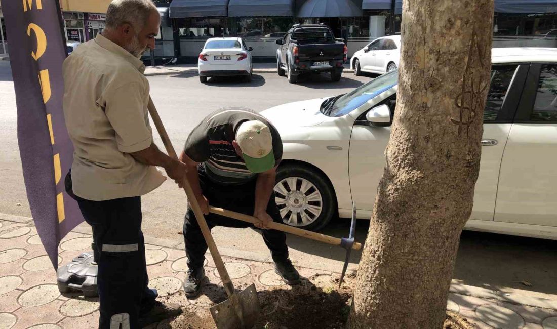 KOZAN BELEDİYESİ PARK VE BAHÇELER MÜDÜRLÜĞÜ DAHA YAŞANABİLİR YEŞİL KOZAN