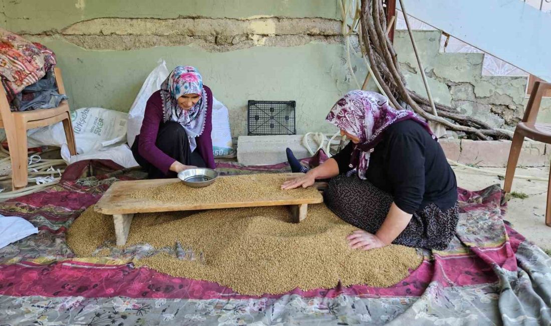 ADANA'NIN TUFANBEYLİ İLÇESİNE BAĞLI İSTİKLAL MAHALLESİNDE BUĞDAY HASADININ ARDINDAN KIŞLIK