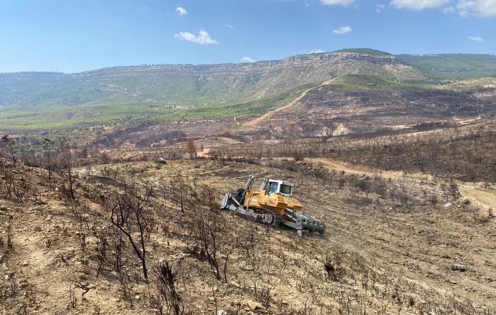MERSİN ORMAN BÖLGE MÜDÜRLÜĞÜ, GÜLNAR'DA YANAN ORMANLIK ALANLARDA AĞAÇLANDIRMA ÇALIŞMALARINA