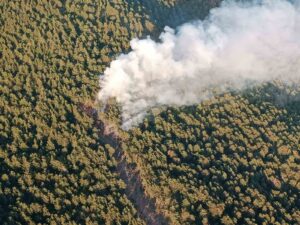 HATAY'IN SAMANDAĞ İLÇESİNDE  ORMANLIK ALANDA, YANGIN ÇIKTI.  ORMAN
