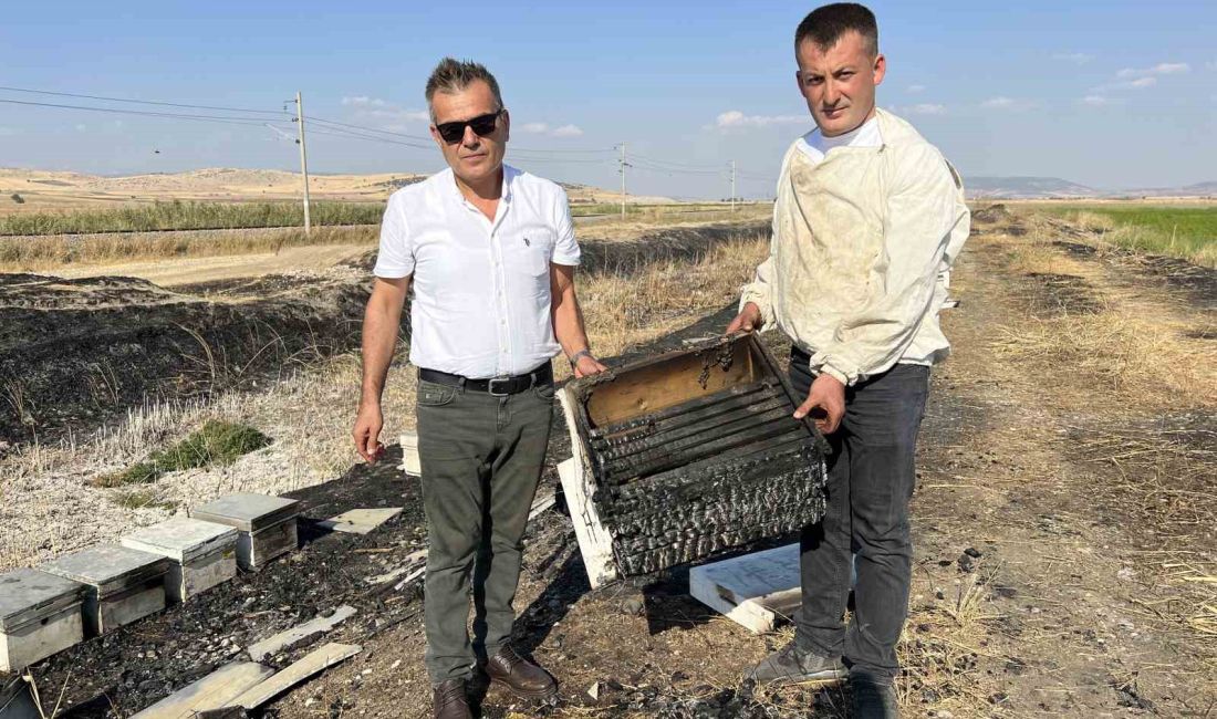 KAHRAMANMARAŞ’TA ARICILIKLA UĞRAŞAN AHMET KÖKTAŞ’IN, PAZARCIK İLÇESİNE BAĞLI NARLI MAHALLESİNDE
