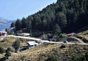 KONYAALTI BELEDİYESİ, YARBAŞÇANDIR MAHALLESİ’NE BAĞLI KÖKEZ YAYLASI KORUCAK MEVKİİ’NDE YILLARDIR