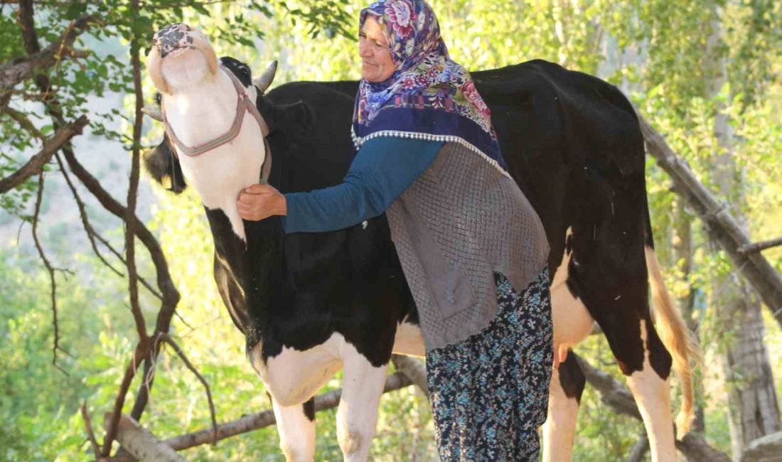 ADANA’NIN FEKE İLÇESİNE BAĞLI 300 HANELİ GAFFARUŞAĞI MAHALLESİNDE KÖYÜN GENÇLERİ