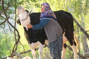 ADANA’NIN FEKE İLÇESİNE BAĞLI 300 HANELİ GAFFARUŞAĞI MAHALLESİNDE KÖYÜN GENÇLERİ
