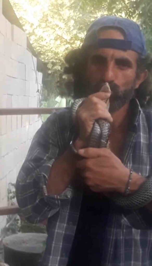 kurtardigi yilani operek dogaya saldi b3eed39