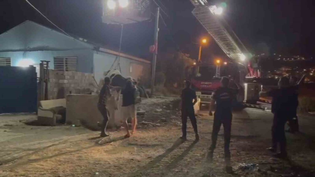 kuyuya dusen inek vincle kurtarildi f98d569