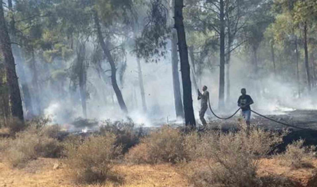 HATAY’IN KIRIKHAN İLÇESİNDE KONTEYNER KENTE YAKIN BİR NOKTADA MEYDANA GELEN