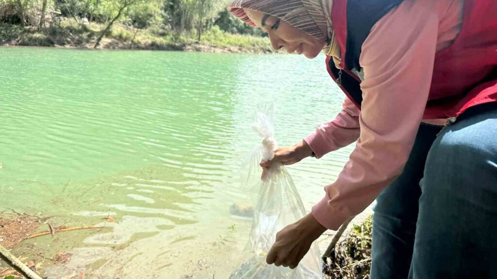 Osmaniye’de Tahta Barajı’na 20 bin pullu sazan yavrusu bırakıldı Osmaniye’de Tahta Barajı’na 20 bin pullu sazan yavrusu bırakıldı