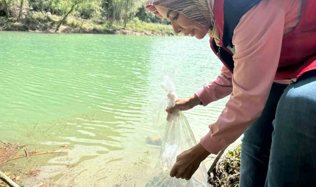 OSMANİYE'DE "SU KAYNAKLARININ BALIKLANDIRILMASI" PROJESİ DAHİLİNDE TAHTA BARAJI KIYISINDAN 20