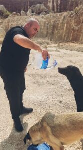 Otomobilindeki 5 litre suyu köpeklere elleriyle içirdi, duygusal anlar yaşandı