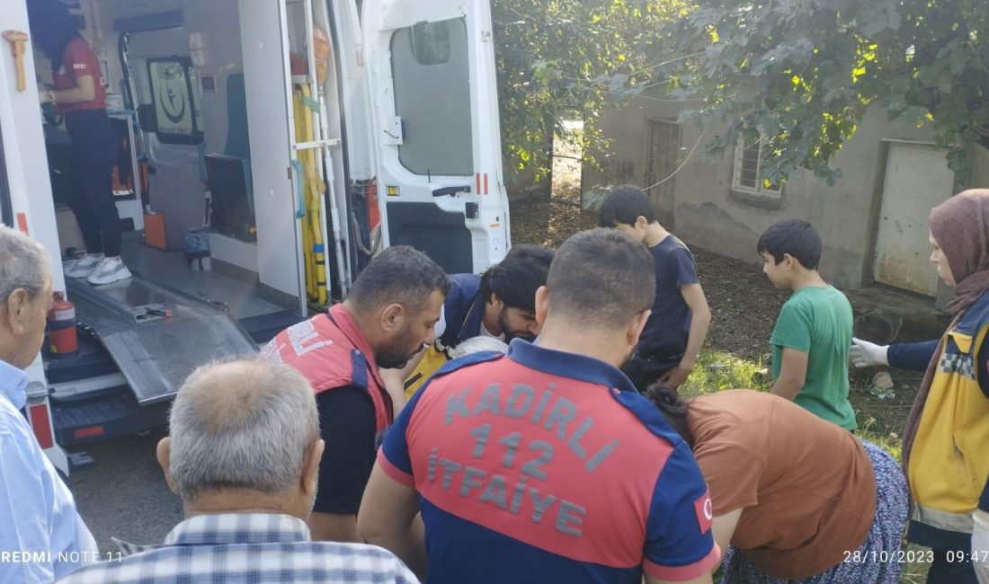 Kadirli ilçesine bağlı Küçükçınar köyünde sürücüsünün direksiyon hakimiyetini kaybetmesi sonucu