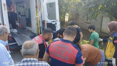 Kadirli ilçesine bağlı Küçükçınar köyünde sürücüsünün direksiyon hakimiyetini kaybetmesi sonucu