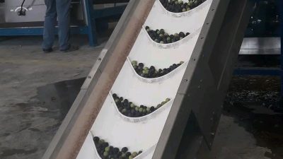 Kadirli’de yeni makineler ile hizmet veren Demiralay Zeytin Yağ fabrikasının