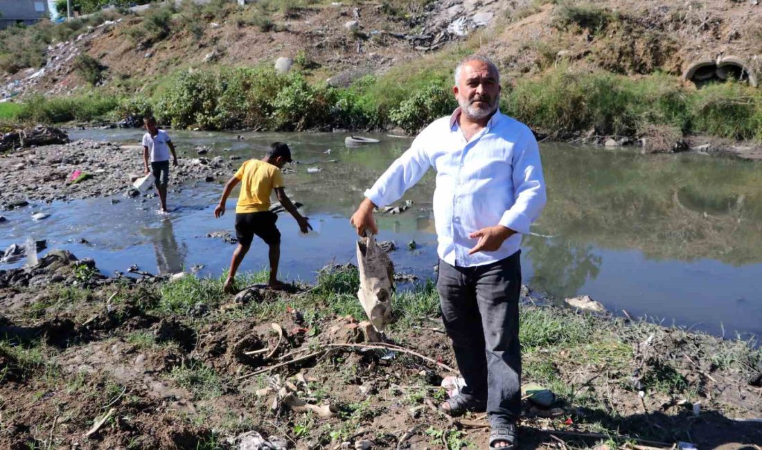 ADANA’DA LAĞIM SUYUNUN AKTIĞI VE ÇEVRESİNDE AT KEMİKLERİNİN BULUNDUĞU DEREDE