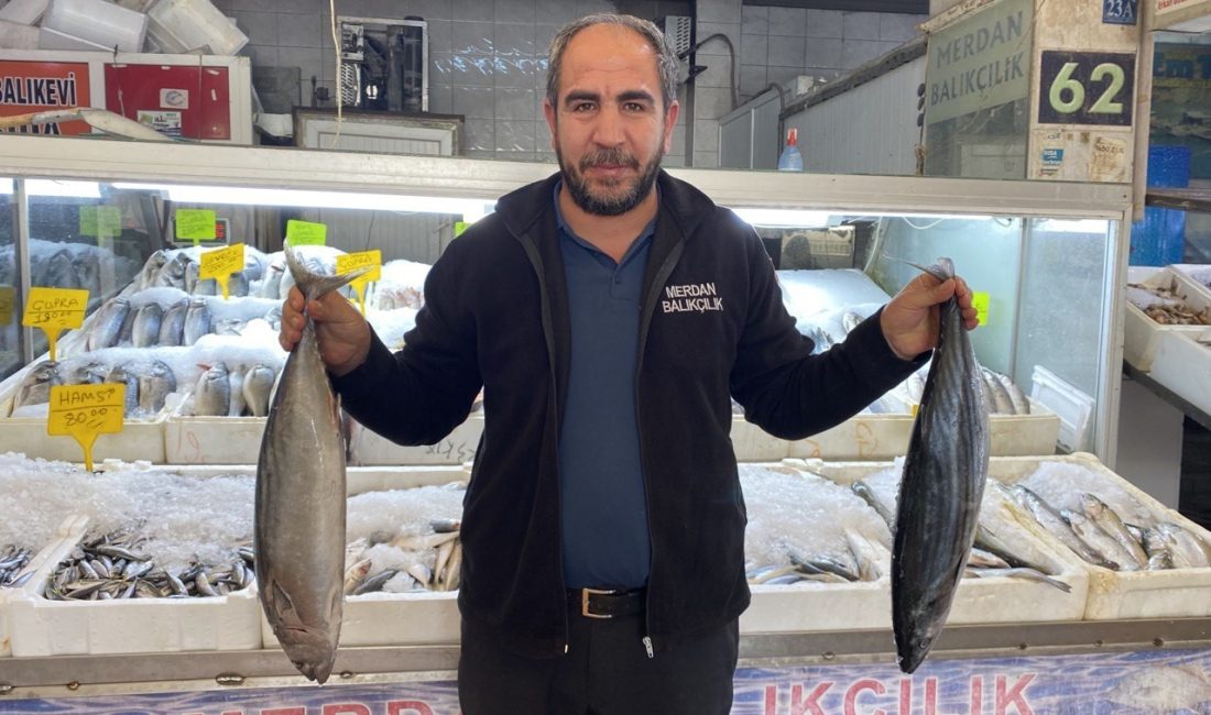 KAHRAMANMARAŞ’TA YAŞANAN DEPREMLERDEN DOLAYI UZUN SÜRE SESSİZ KALAN BALIK PAZARI,