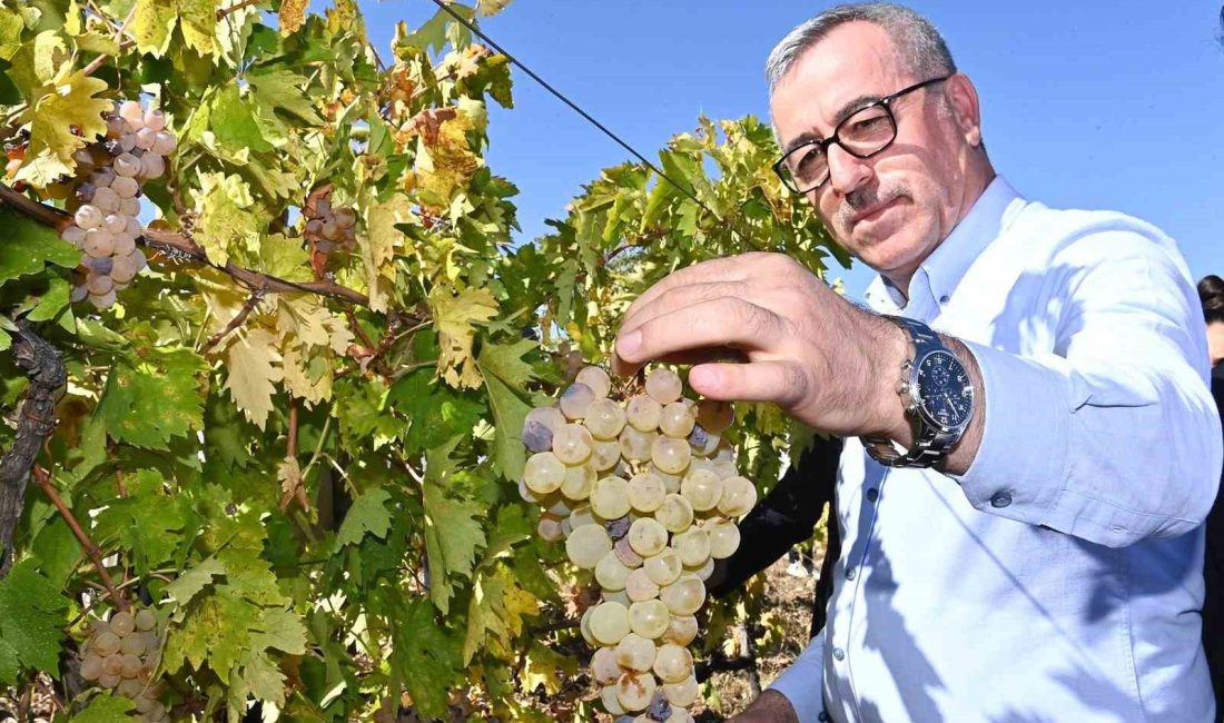 KAHRAMANMARAŞ BÜYÜKŞEHİR BELEDİYE BAŞKANI