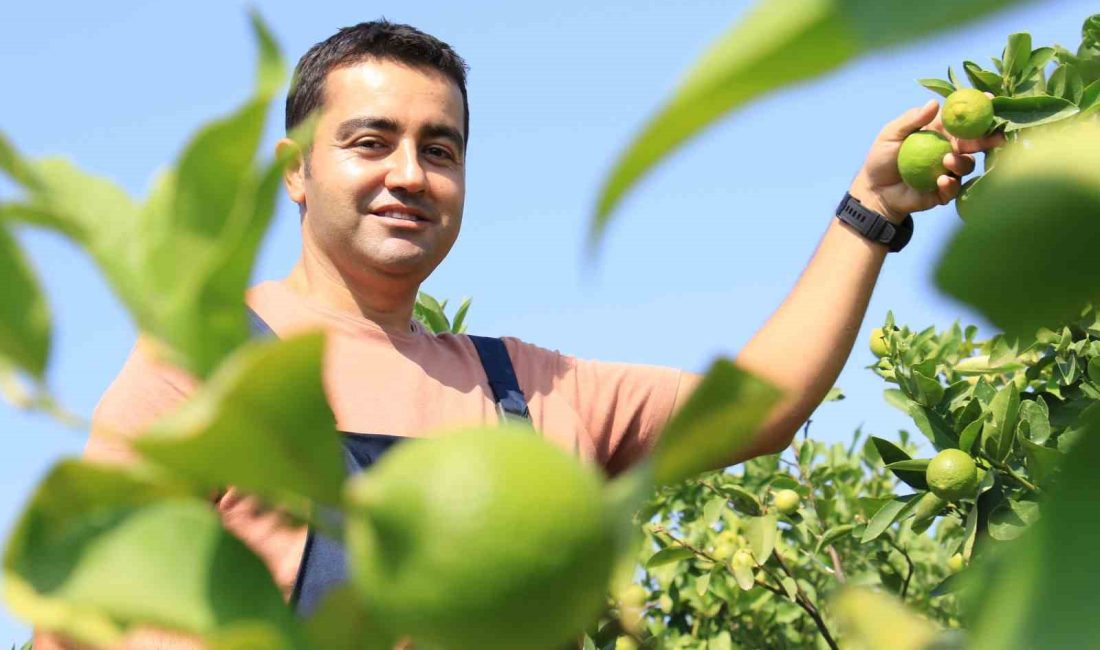 38 YAŞINDAKİ ARMAĞAN ALAN'IN ATA TOPRAĞI 30 DÖNÜME KURDUĞU RÜZGAR