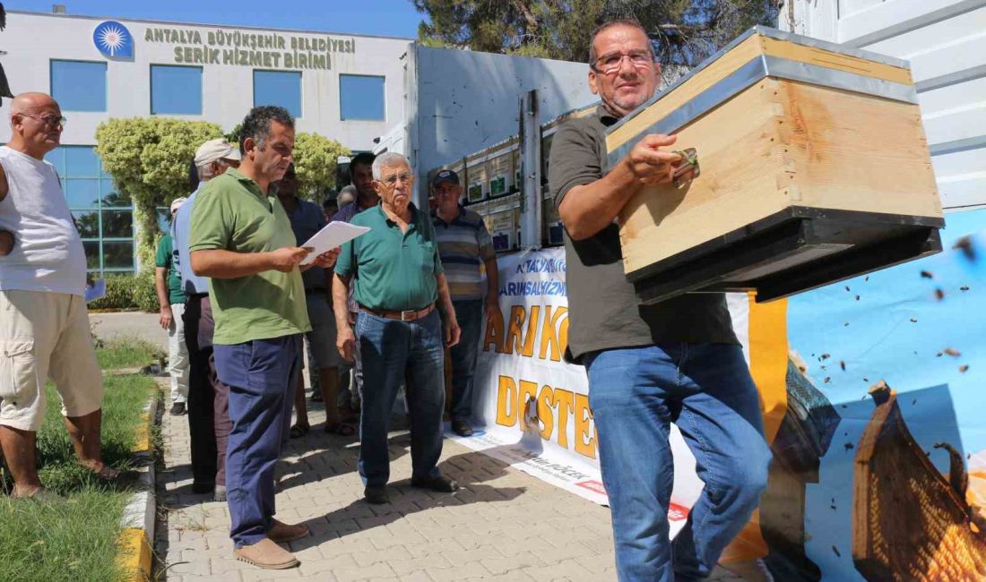 ANTALYA BÜYÜKŞEHİR BELEDİYESİ, ARICILIĞIN GELİŞTİRİLMESİ HEDEFİYLE  SERİKLİ 29 ARICIYA,