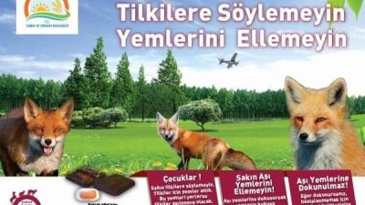 ürkiye'de 29 İlde Yaban Hayvanlarına Kuduz Aşısı Uygulaması 15 Ekim