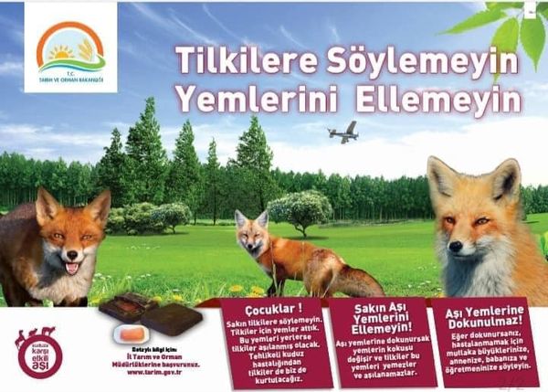 ürkiye'de 29 İlde Yaban Hayvanlarına Kuduz Aşısı Uygulaması 15 Ekim