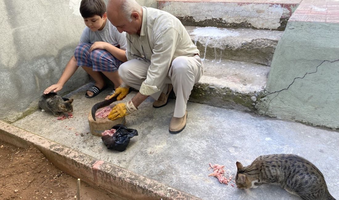 KAHRAMANMARAŞ’TA DEPREMDE BACAĞI KIRILAN ANNE KEDİ VE YAVRU KEDİYİ KENDİ