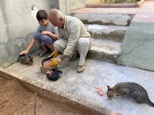 KAHRAMANMARAŞ’TA DEPREMDE BACAĞI KIRILAN ANNE KEDİ VE YAVRU KEDİYİ KENDİ