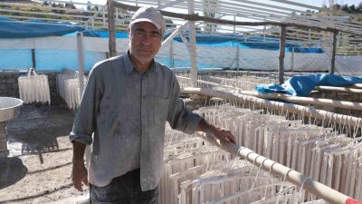 KAHRAMANMARAŞ’TA DEPREMZEDE ÇİFTÇİLERİN BAĞ BOZUMU SONRASI ELDE ETTİKLERİ ÜZÜMLERİN ŞIRASINDAN