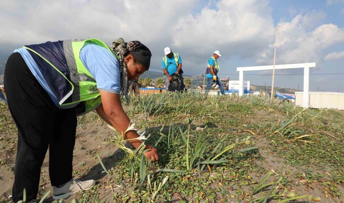 HATAY BÜYÜKŞEHİR BELEDİYESİ, 6 ŞUBAT 2023 DEPREMİ SONRASINDA SAHİL TEMİZLİK