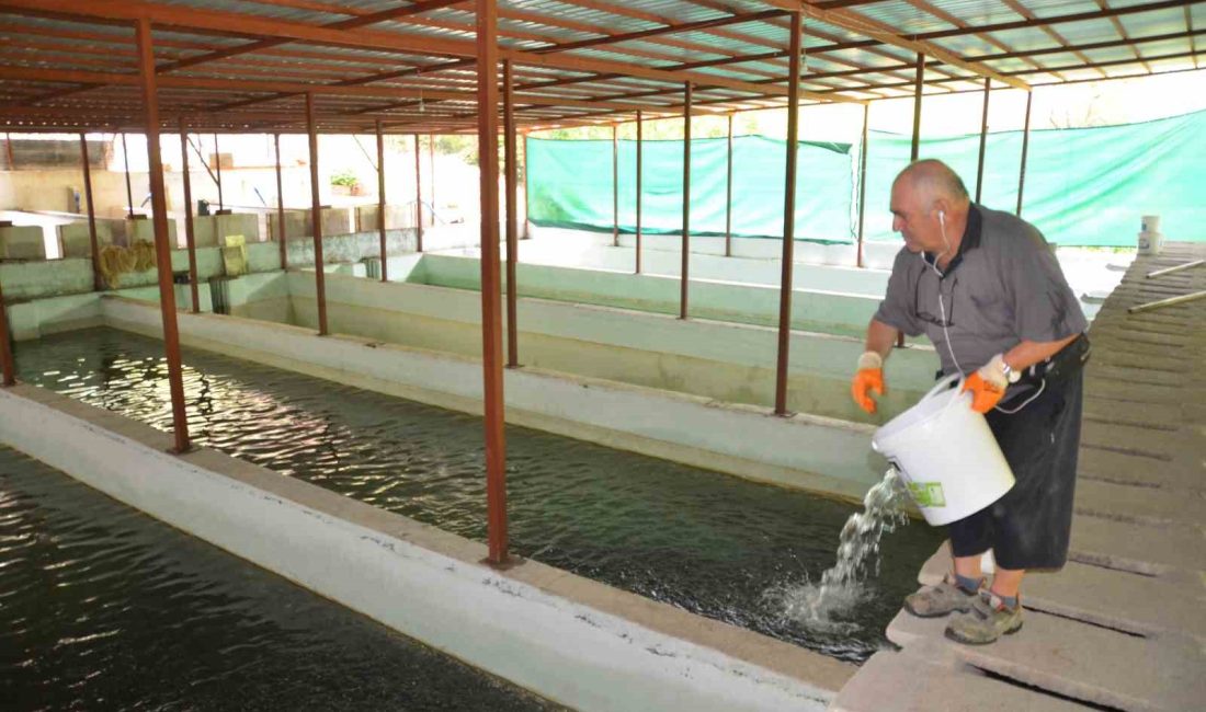 ANTALYA’DA HOBİ OLARAK BAŞLADIĞI