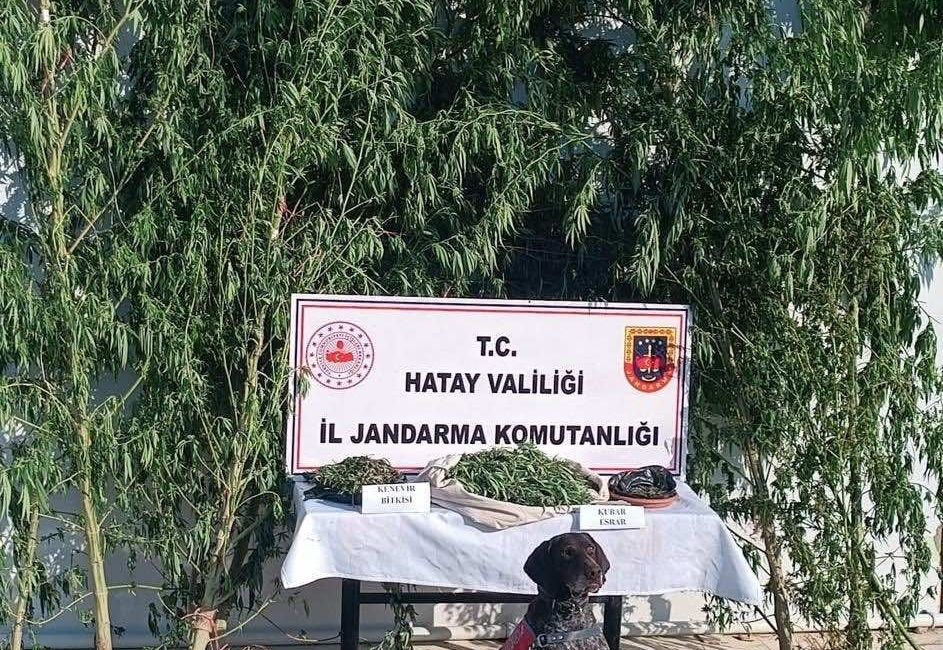 HATAY JANDARMA KOMUTANLIĞI EKİPLERİ, HATAY’IN DEFNE İLÇESİNDE KUBAR ESRAR VE