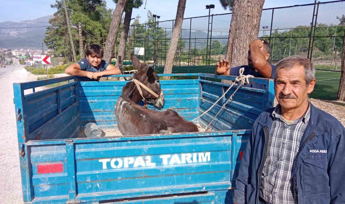 HATAY’IN YAYLADAĞI İLÇESİNDE AYAĞINDA