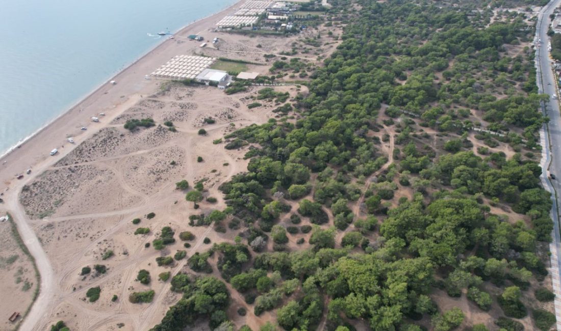 ANTALYA’NIN MANAVGAT İLÇESİNDE ORMAN