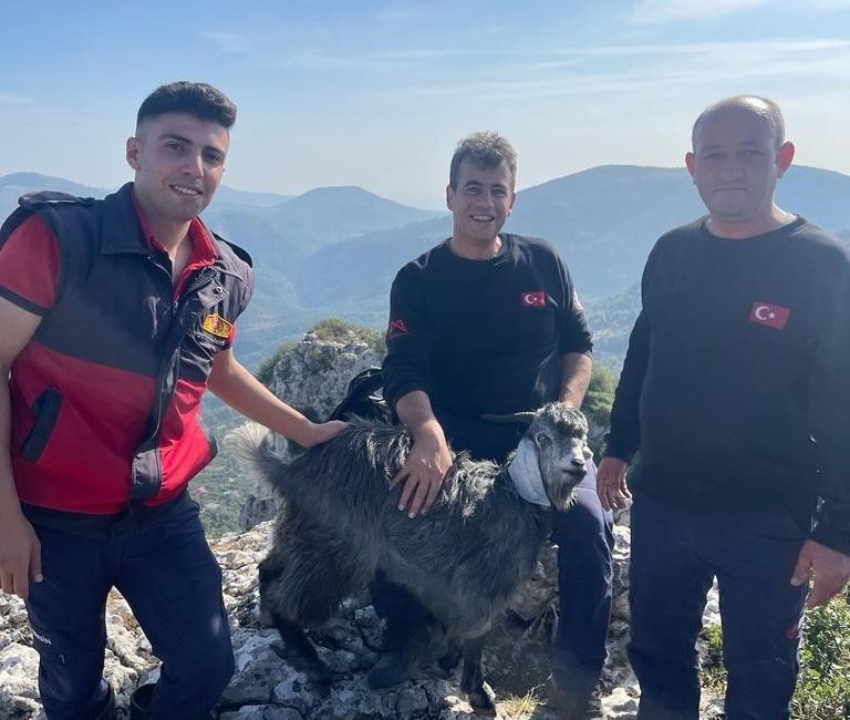 KAYBOLAN KEÇİYİ İTFAİYE EKİPLERİ KURTAEDI