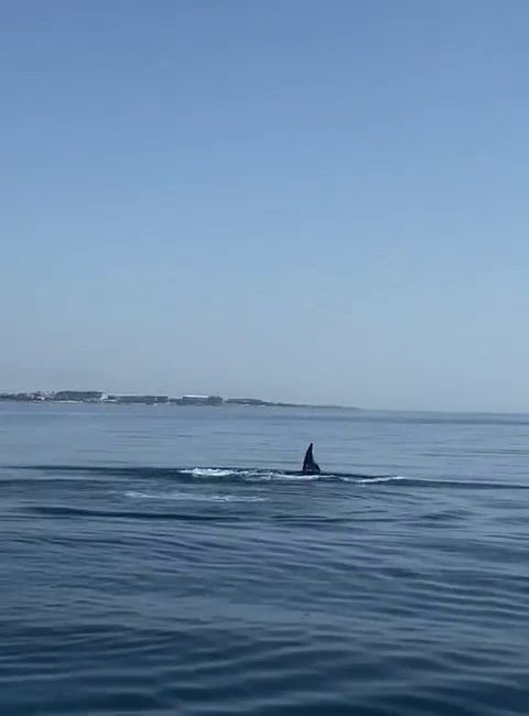 ANTALYA'NIN SERİK İLÇESİ BELEK AÇIKLARINDA SU SPORLARI TUR TEKNESİNE EŞLİK