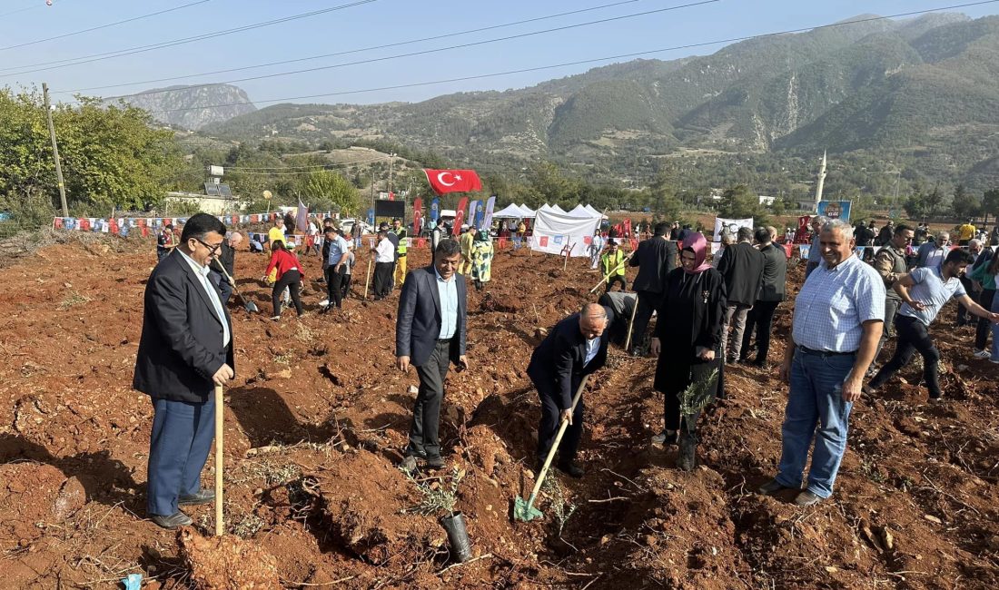 Düziçi Orman İşletme Müdürlüğü tarafından düzenlenen Orman Haftası etkinlikleri kapsamında