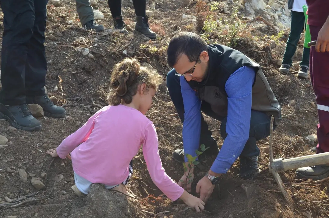 Sumbas'da Küçükeller Fidan Dikti