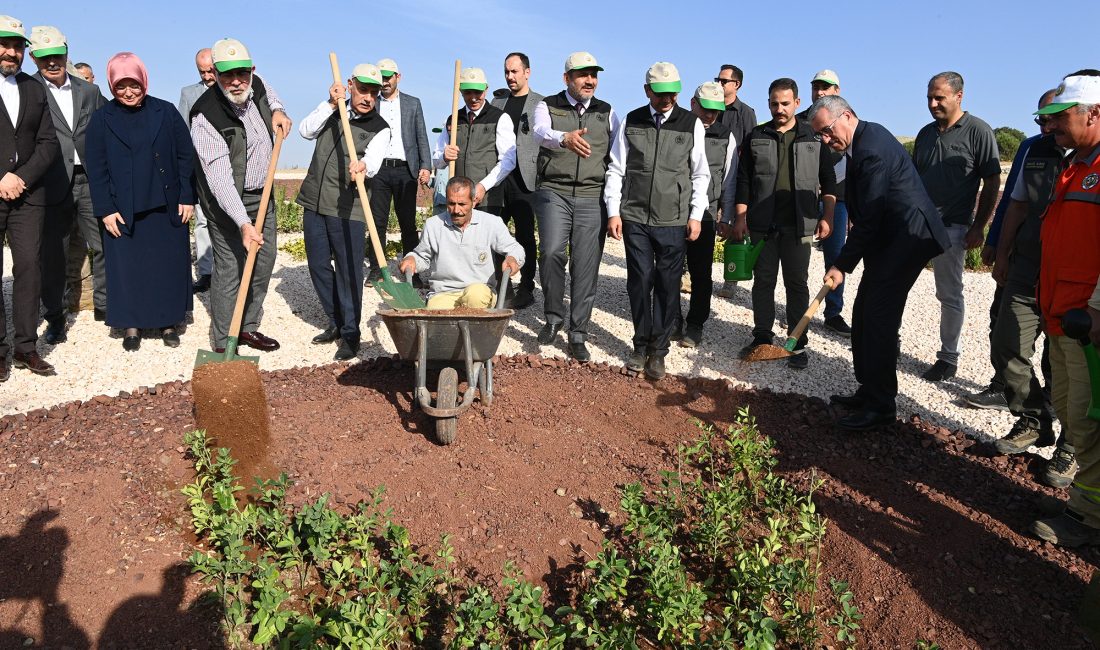 Kahramanmaraş Büyükşehir Belediye Başkanı Hayrettin Güngör, 11 Kasım Milli Ağaçlandırma