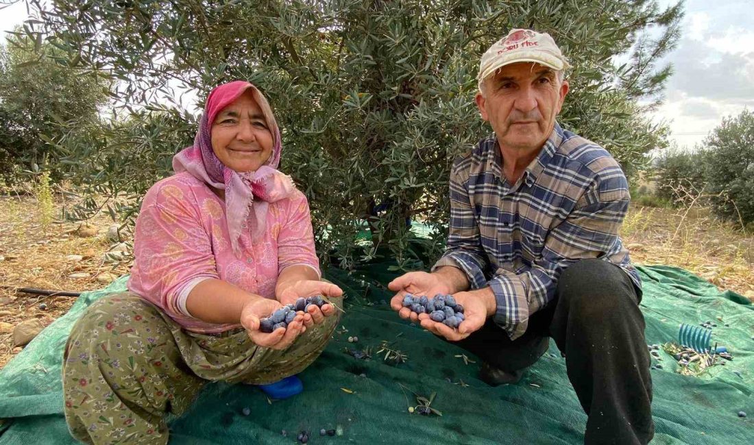 ANTALYA'NIN SERİK İLÇESİNDE, BU